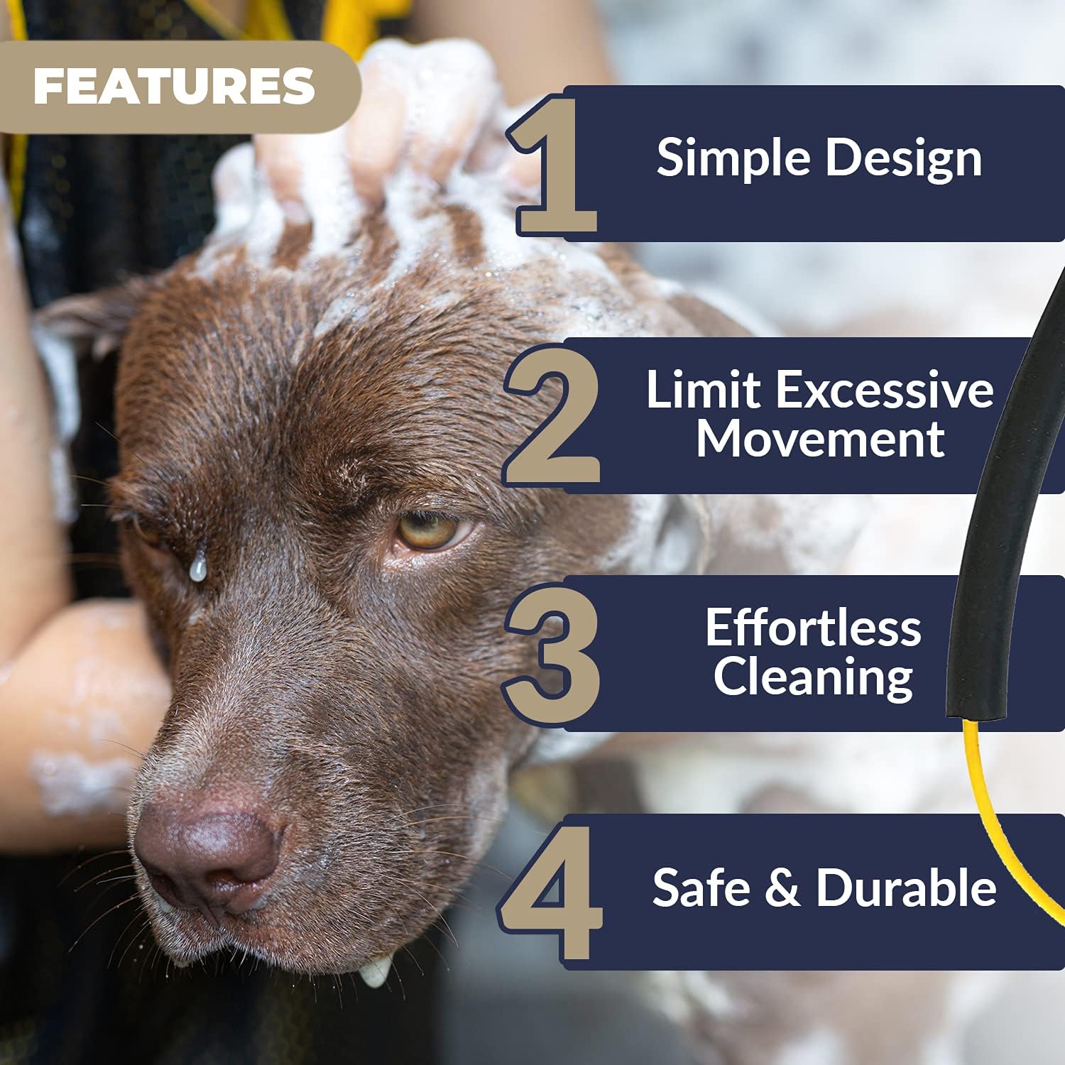 How To Restrain A Dog For Ear Drops