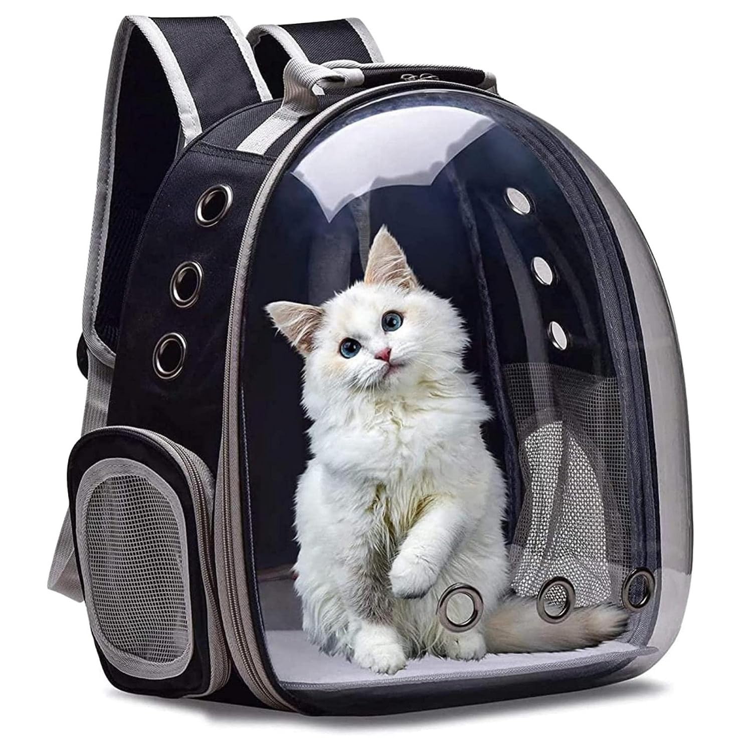 Babu and Sons Co. Pet Carrier Backpack for Travel, Breathable and Ventilated, IATA Approved, Padded for Puppies and Cats (B0D2XXB5L3) Amazon Price History, Amazon Price Tracker