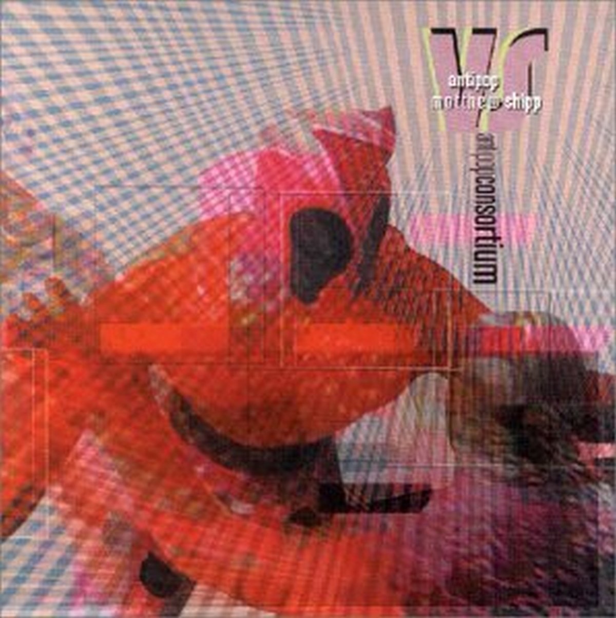 Antipop vs Matthew Shipp