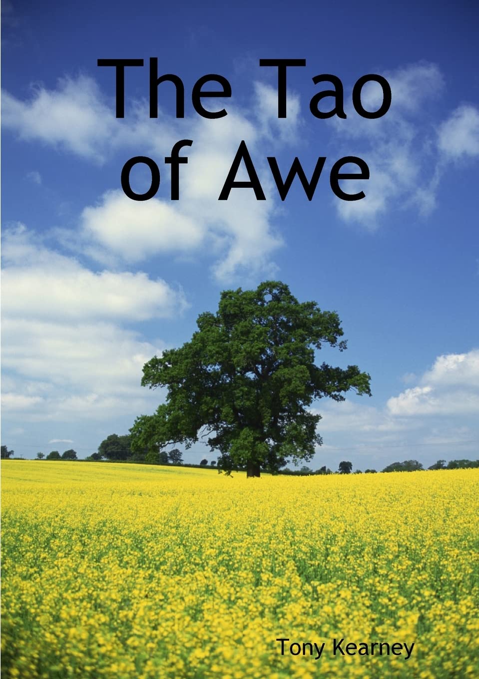 The Tao of Awe by Kearney, Tony  New 9781471641121 Fast Free Shipping<-