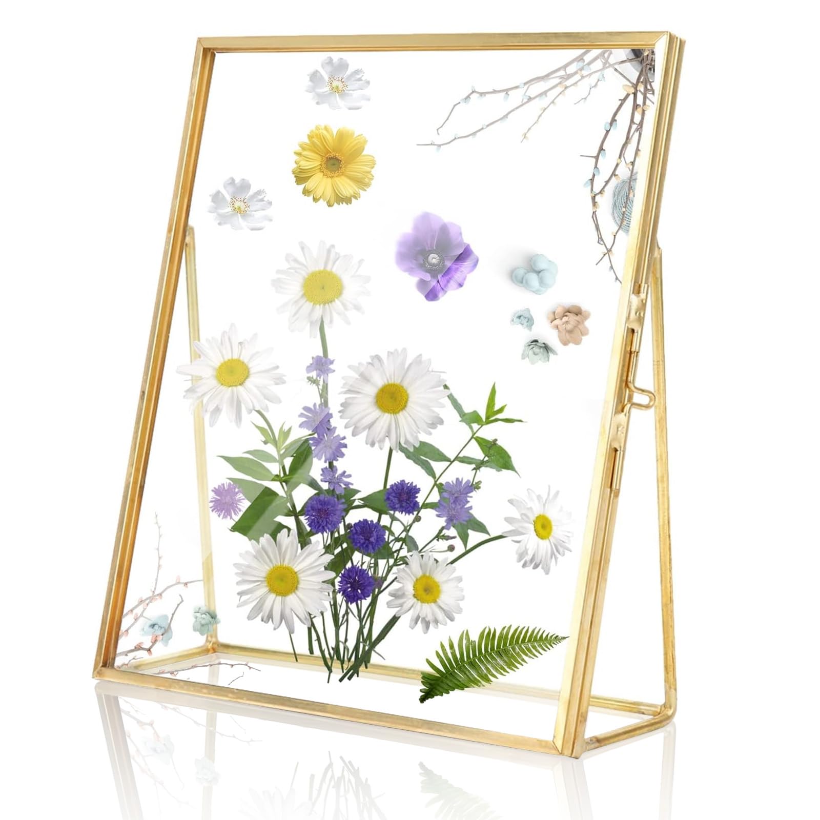 Cadre transparent en verre suspendu ou à poser pour herbier et salon moderne