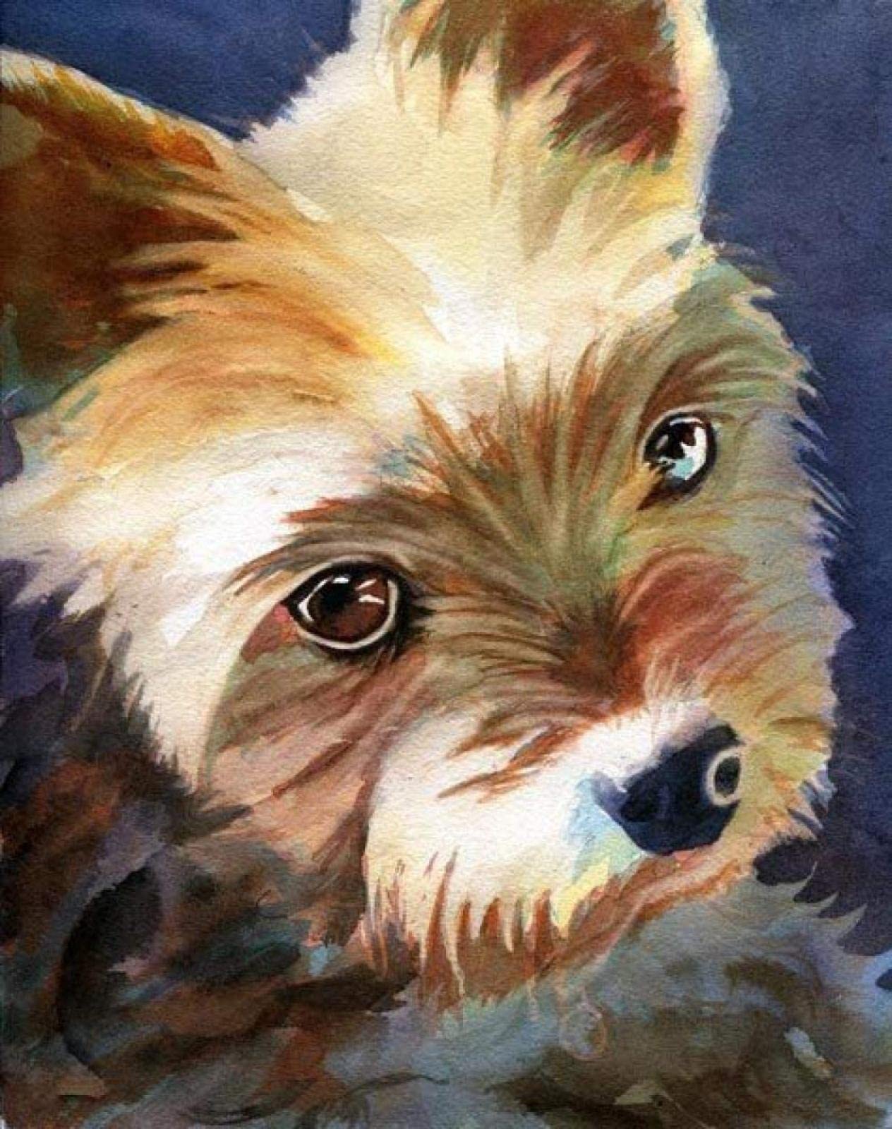 Pittura diamante 5D fai da te Yorkshire Terrier Trapano rotondo completo Immagine di ricamo diamante strass