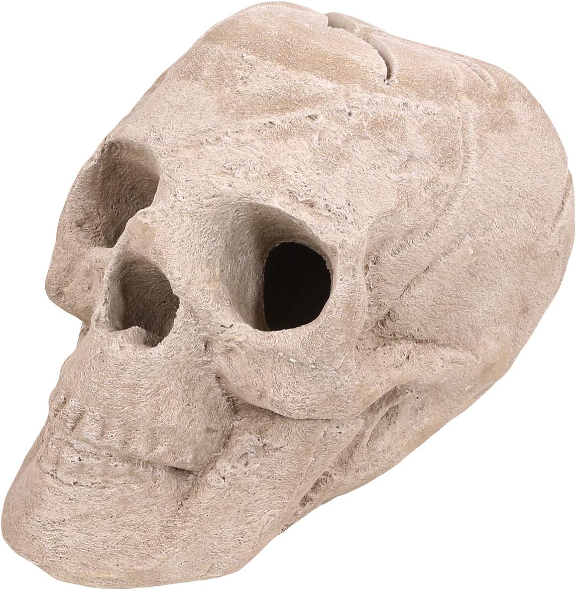 Barton Imitated Human Skull Ceramic Fireproof Fire Pit Skull Gas Log for Natural Gas LP Wood Fireplace Firepit Campfire Halloween Decor, BBQ (Sand)