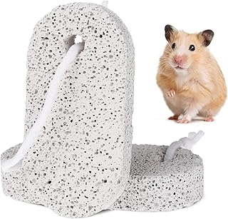 NUOBESTY 2 Pcs Teething Toy pet Teeth Griding Lava Block Bird Beak Grinding Stones Hamster Grinding Stones Block Lava Hamster Toy pet Chews Toy Hamster Chew Toy Bunny Rabbit Volcanic Rock