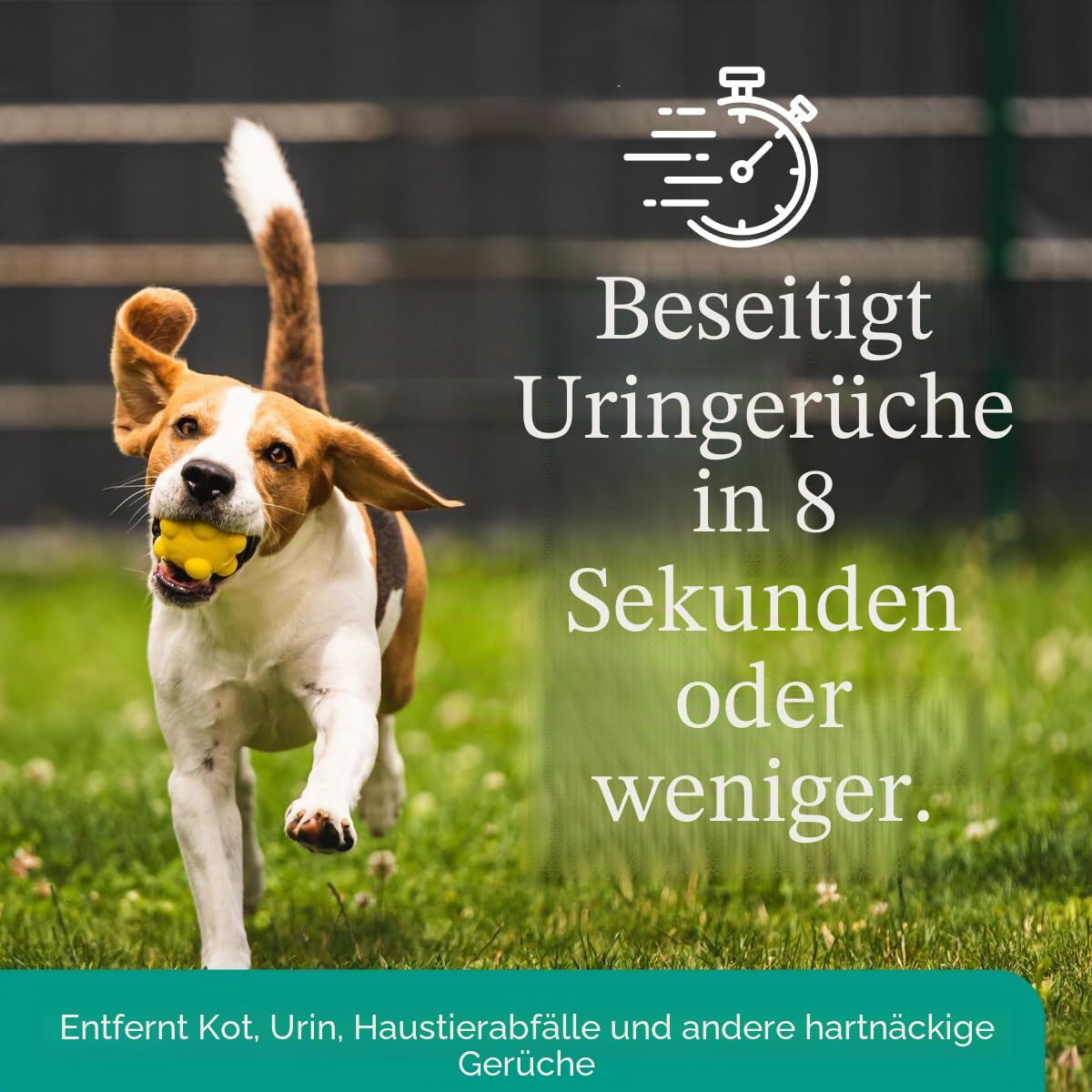 Eco Strong Outdoor-Geruchsbeseitiger | Outdoor-Urin-Enzym-Reiniger für Hunde, Katzen, Tierduft, professionelle Stärke für Hof, Rasen, Zwinger, Terrassen, Decks (900 ml)