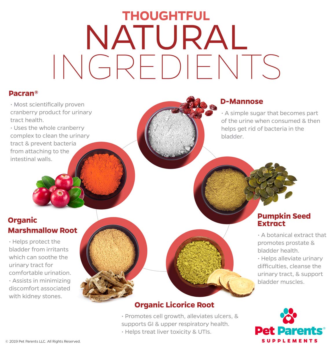 Is Pumpkin Good For Dogs With Bladder Stones