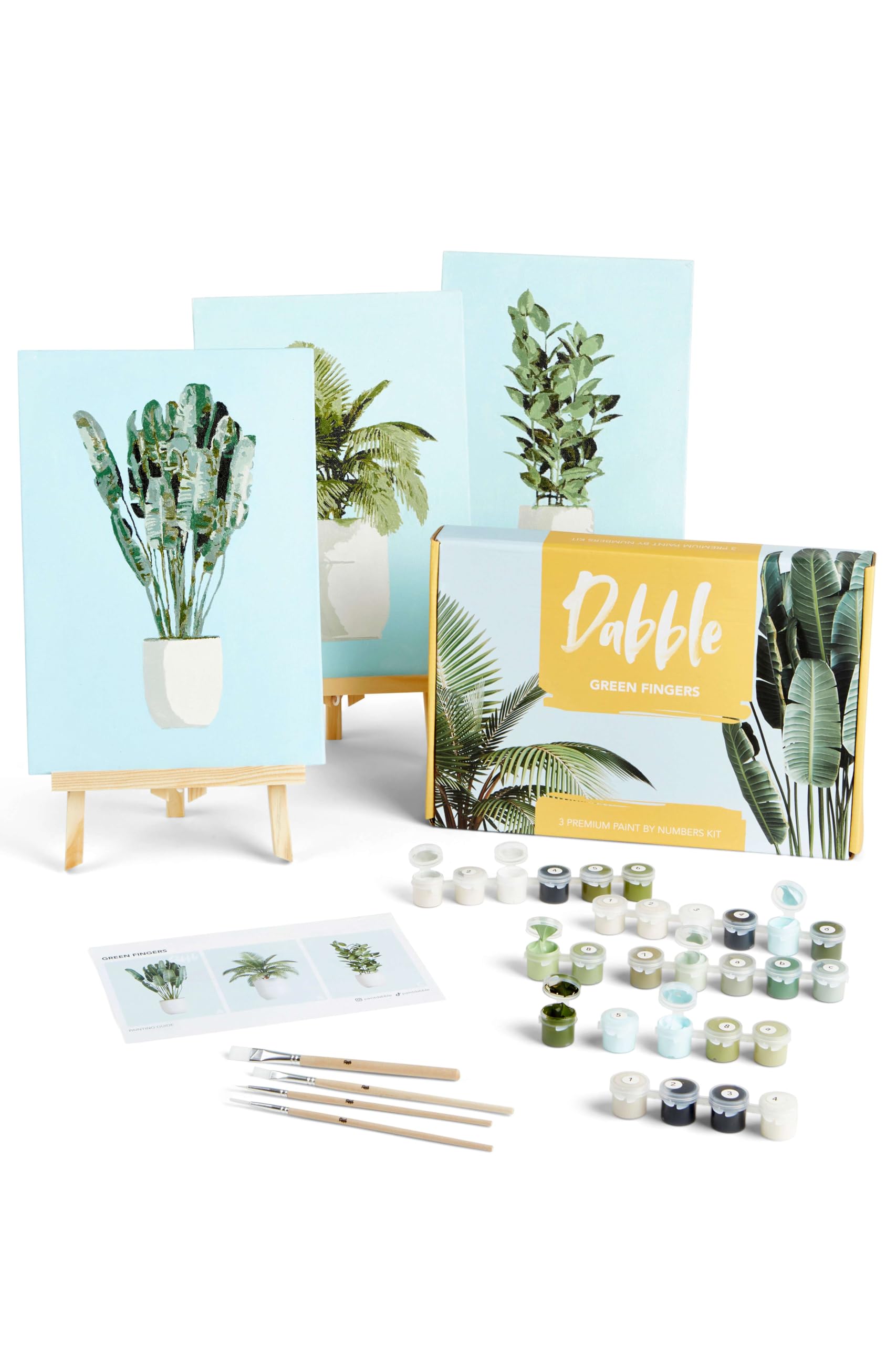 Dabble Paint by Numbers Kits – Set of 3 Paint by Numbers for Adults Beginners with Canvas Frame, Painting Kits for Adults, Flowers Design