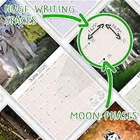 Vista 6 de Razas de Perros 2017