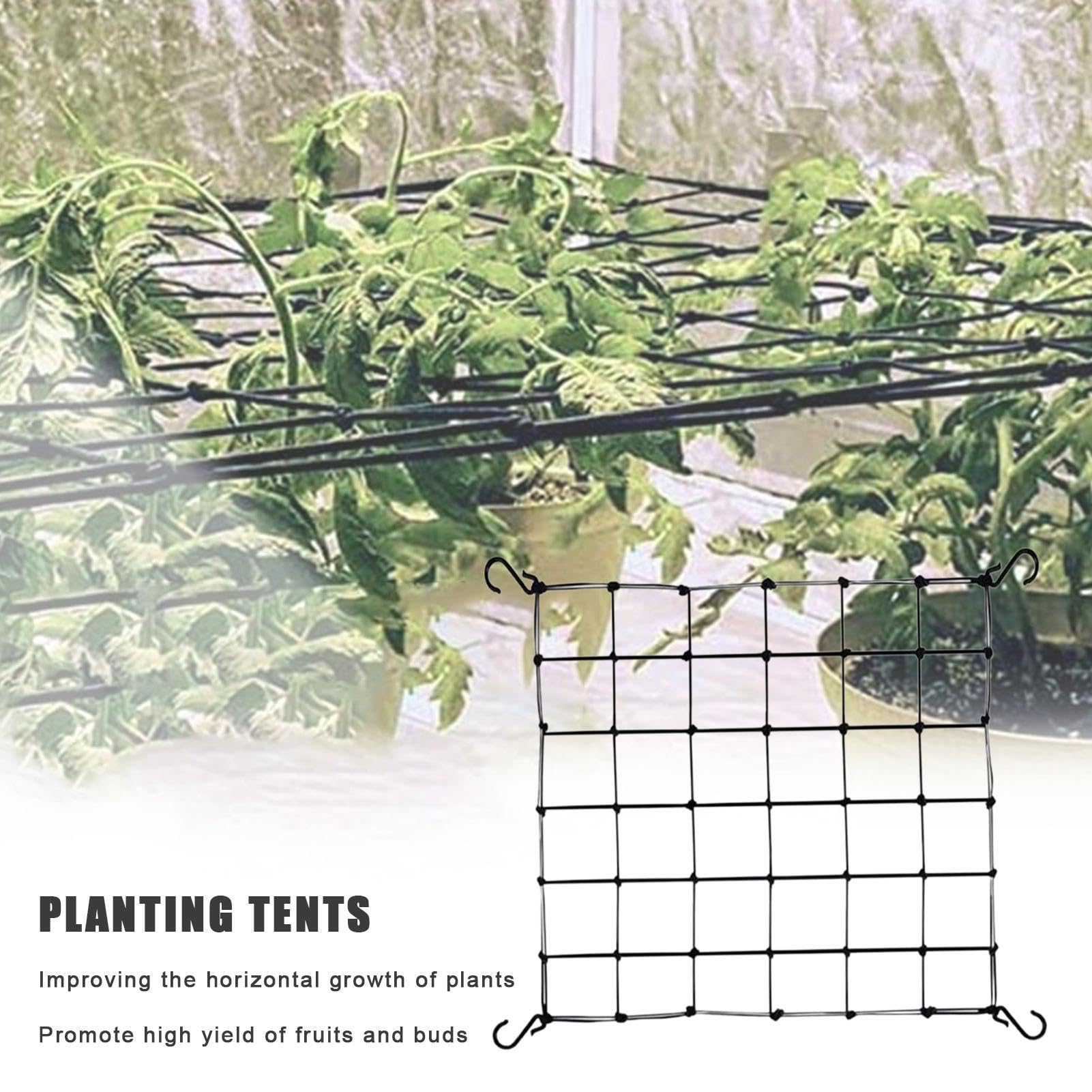 growzelt pflanzennetz Scrog Netz 80x80, Hydrokultur-Stützpflanzennetz, elastisches Gitter, Gitter-Wachstumsnetz, robust für Garten, Balkon, Hof, Gartenarbeit in Wachstumszelten Garten