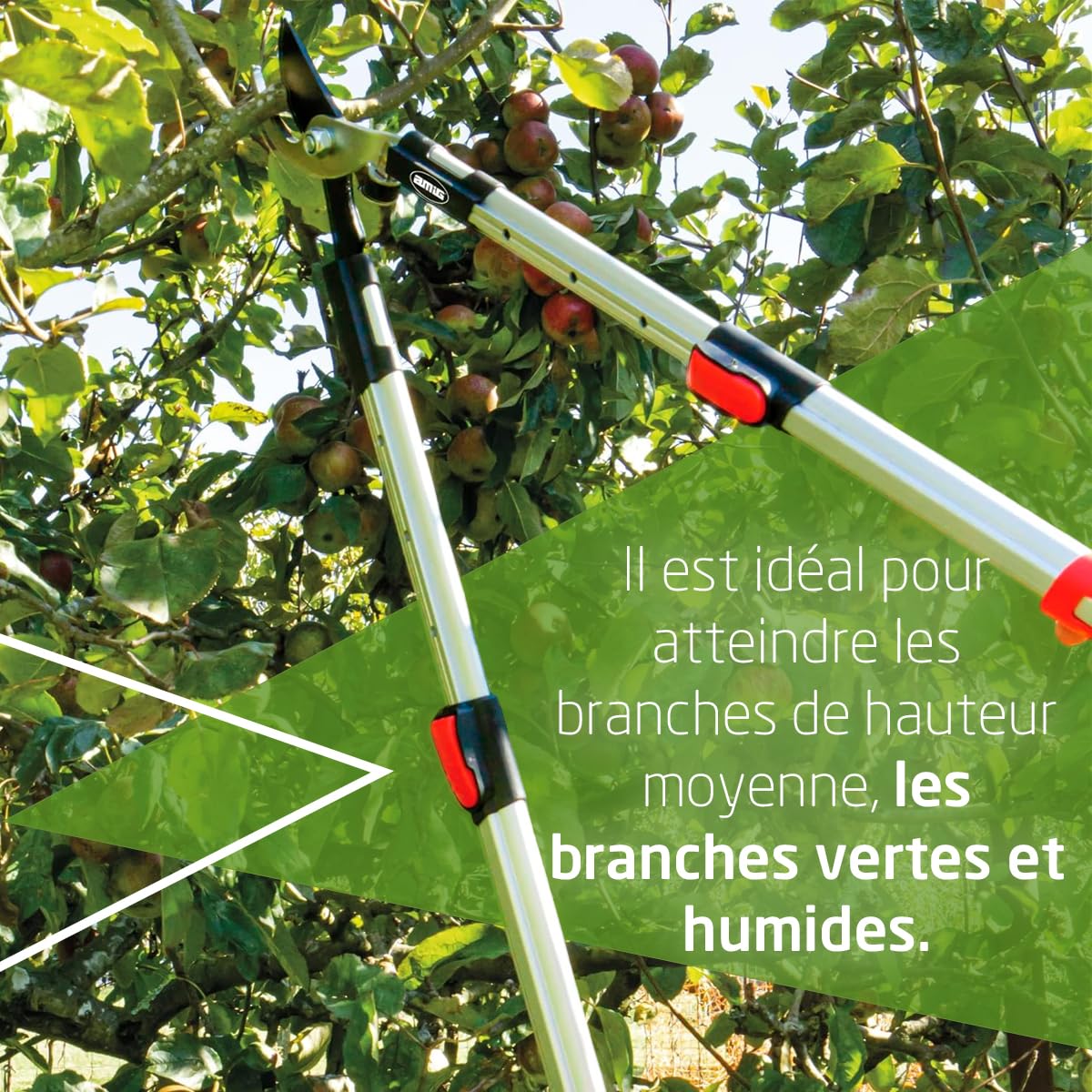 Amig - Cisaille d'Élagage Extensible à Deux Mains | Manche Télescopique en Aluminium | Lame en Acier Revêtue de Téflon | De 62 à 97 mètres | Coupe Bypass | Capacité de Coupe de 38 mm