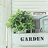 Product Photo 4