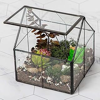 THE WHITE SHOP Glass Plant Terrarium Container Indoor Small Succulent Terrarium Planter Door for Tabletop Decor DIY 4.9"x4.3"x4.3"