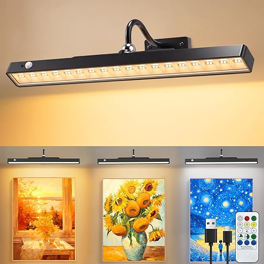 Ceshu Wireless Picture Light Review: Rechargeable Wall Lighting