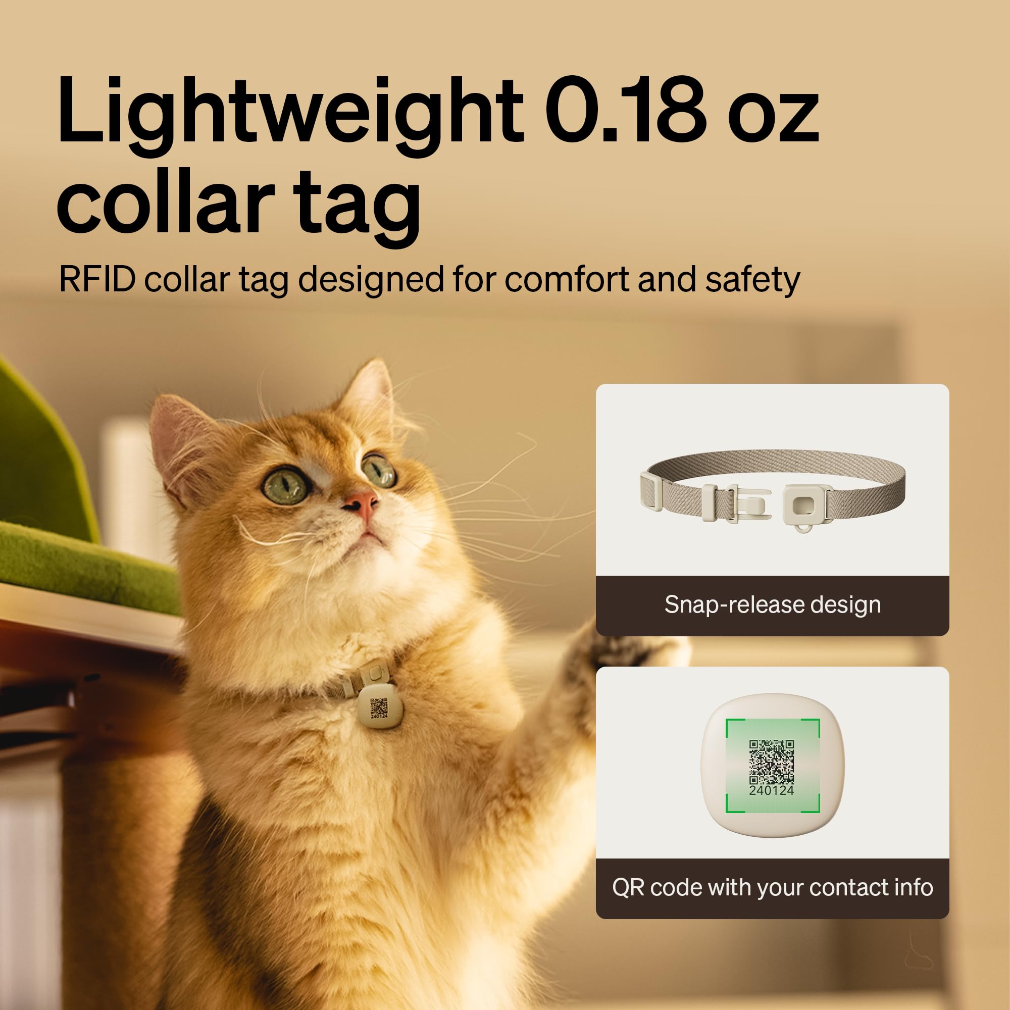 PETLIBRO RFID Automatic Cat Feeder, Collar Sensor-Activated Personalized Meals, Cats Recognition & Diet Tracking for Cats with Special Dietary Needs and Prevents Food Stealing - image 4