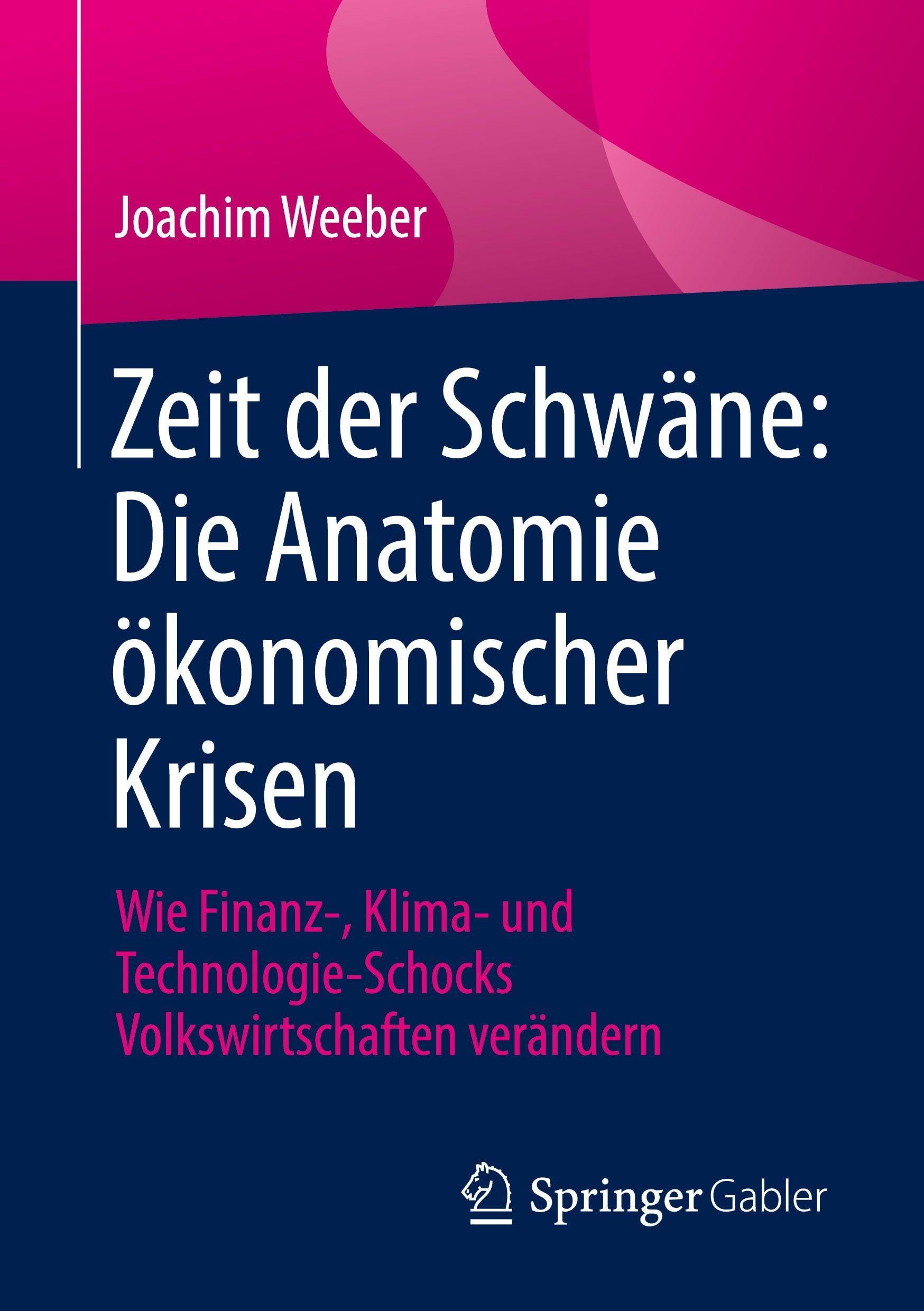 Zeit der Schwäne: Die Anatomie ökonomischer Krisen: Wie Finanz-, Klima- und Technologie-Schocks Volkswirtschaften verändern