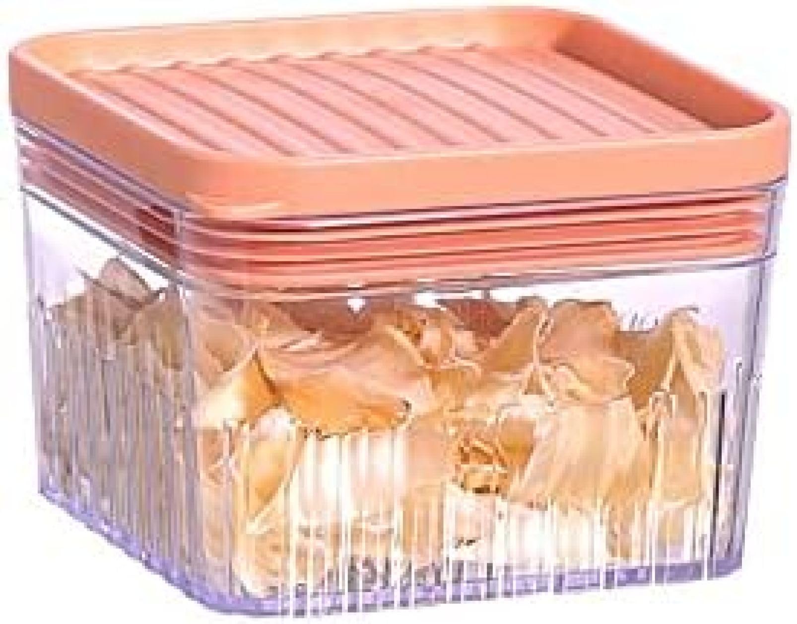 Boîte à céréales étanche contre l'humidité pour conservation longue durée en cuisine