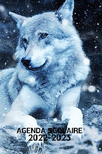 AGENDA SCOLAIRE 2022-2023: LOUP BLANC 🐺 Agenda Pour Toute l'année scolaire | Organisateur Journalier | Idéal pour étudiant ( école primaire, collège, ... de 207 Pages | Format Pratique 6x9 Pouces