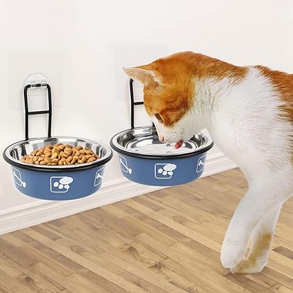 Torlam Cat Food Bowls, 15 ? Tilting Cat Bowls Double Cat Food Bowls Transparent Cat Food Bowl Cat Food Bowl Cat Bowls for Cats Puppy Food and Water Bule