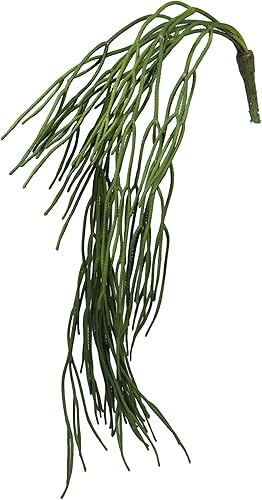 Ebros Gift Paquete de 6 plantas suculentas largas y realistas con tallos de hojas suaves y realistas de 26 pulgadas de largo, plantas suculentas