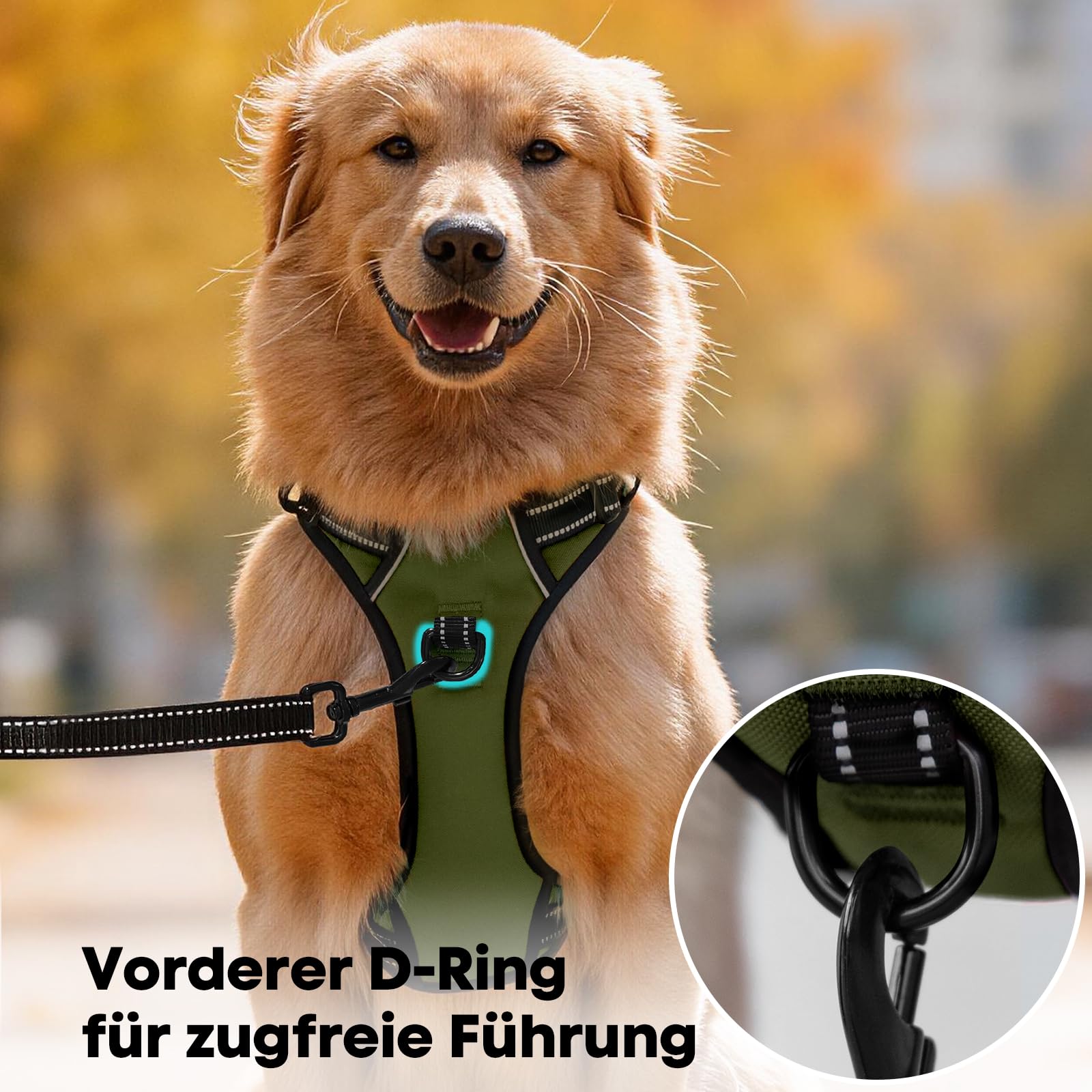PoyPet No Pull Harnais pour chien - Harnais réfléchissant avec 2 attaches de laisse et poignée de contrôle simple pour chiens de petite et moyenne taille (vert armée, taille L)