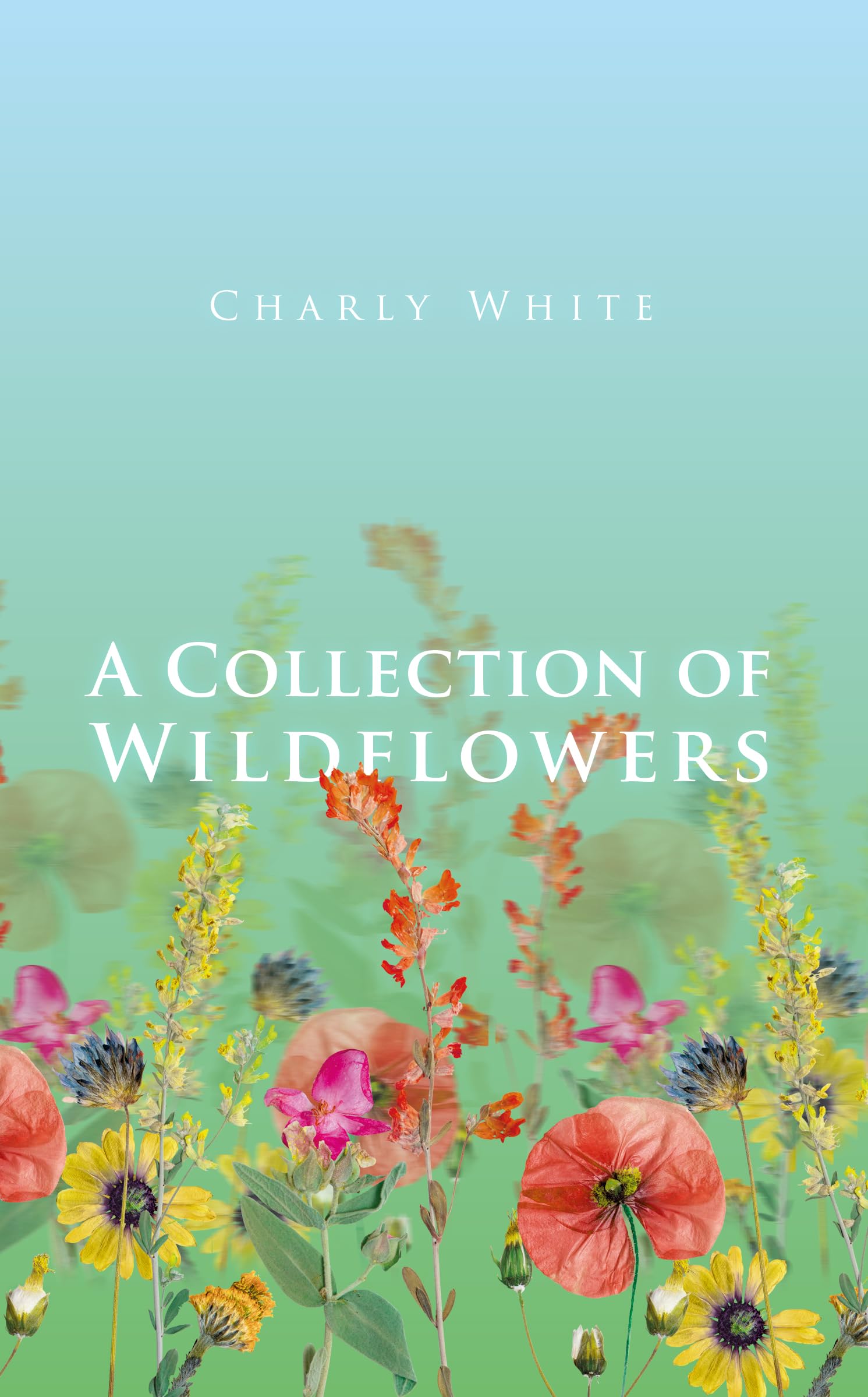 A Collection of Wildflowers - White, Charly