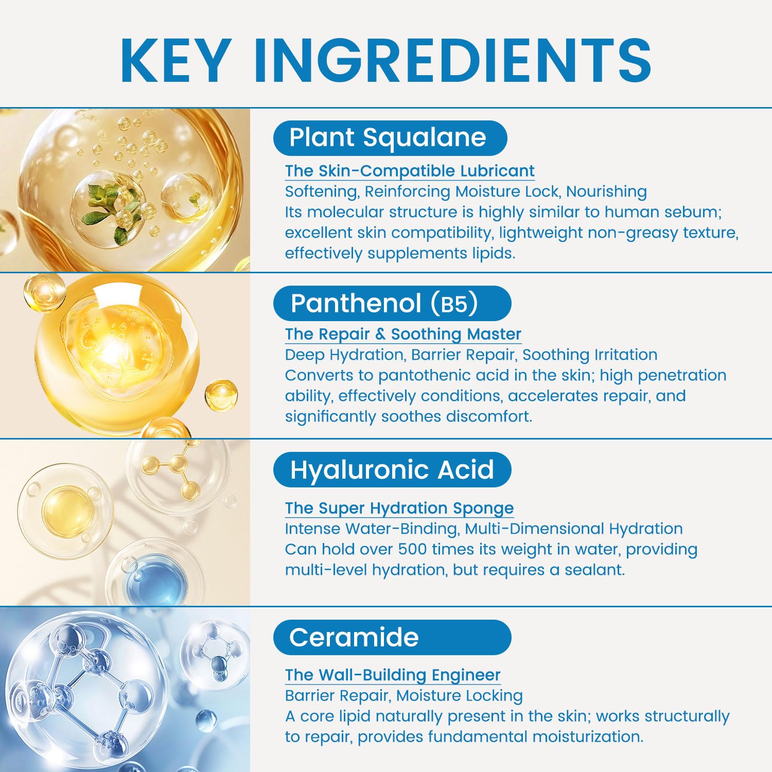 Squalane Face Cream, Ceramide Face moisturizer for Women with Hyaluronic Acid & Panthenol, Moisturizing Treatment for Dry Skin, Sensitive, Damaged Skin, Nourishing Plant-Derived Formula (Squalane_1) - Image 2