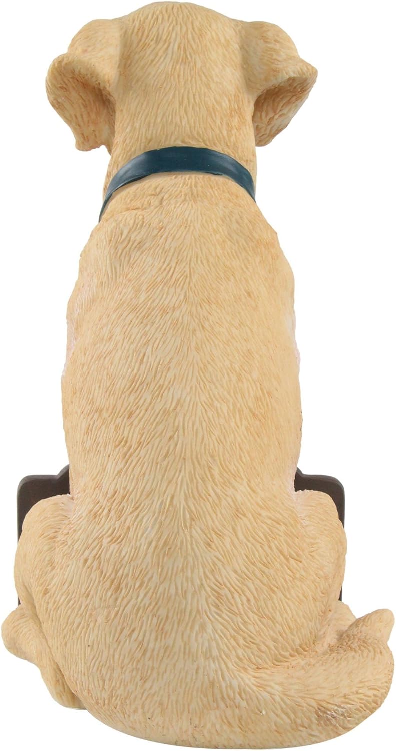 foco NFL Unisex-Adult 11" Dog Welcome
