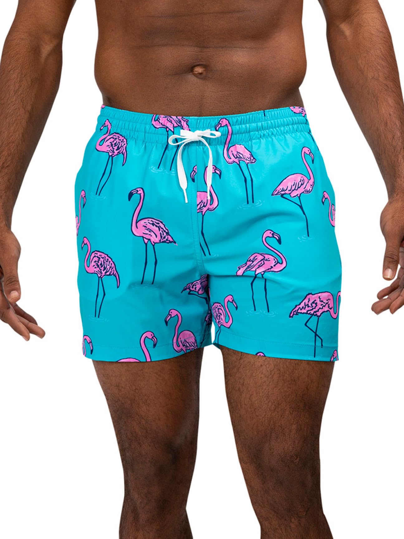 chubbies Mens The Beach Retreats 5.5" (Classic Swim Trunk)-picture-40