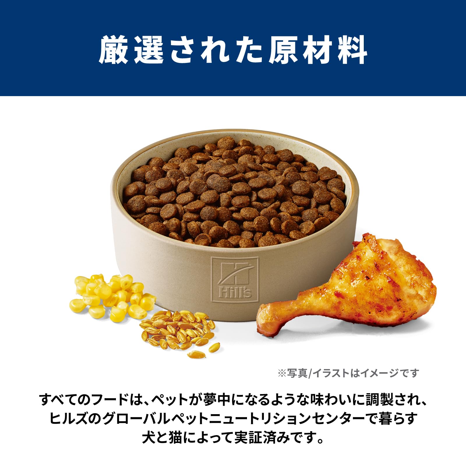 Amazon.co.jp: ヒルズ サイエンスダイエット ドッグフード シニア 7歳