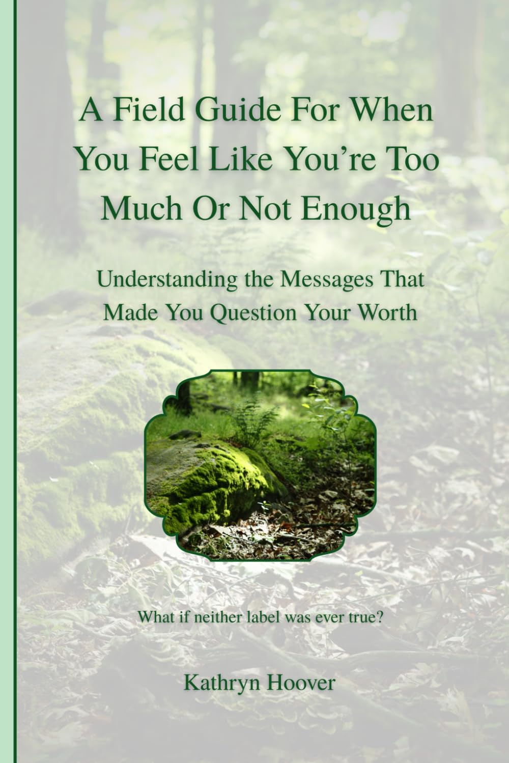 A Field Guide For When You Feel Like You’re Too Much Or Not Enough: Understanding the Messages That Made You Question Your Worth (The Emotional Wilderness Series)