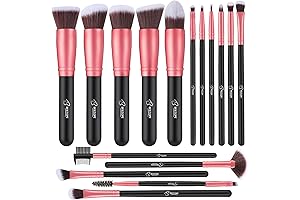 Victoria Jackson Cosmetics Deluxe 16 Piece Makeup Brush Set