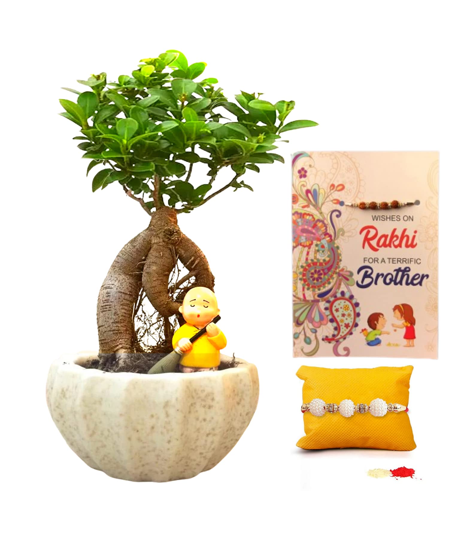 Abana Homes Rakhi Gift for Brother & Sister – Ficus Bonsai Plant with Pot, Monk Figurine, Rakhi, Akshat, Roli, and Greeting Card | Unique and Thoughtful Raksha Bandhan Gift