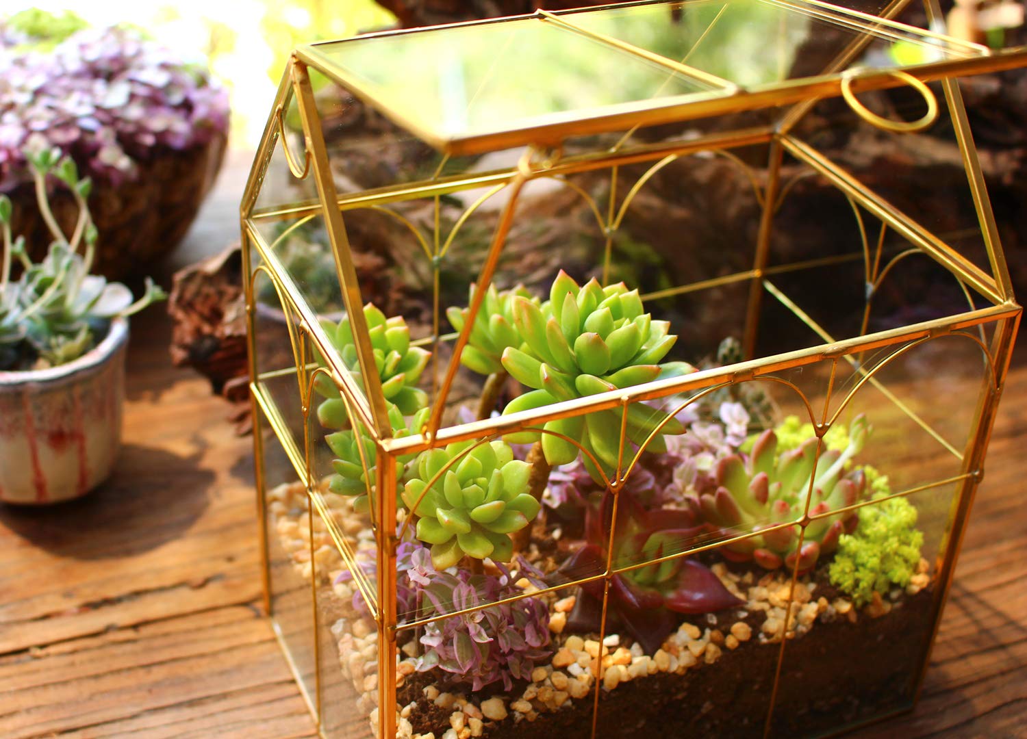ELEGANTLIFE Szklana geometryczna roślina, terrarium, sukulenty i doniczka powietrzna do domu, ogrodu, biura, dekoracja (złoty dom)