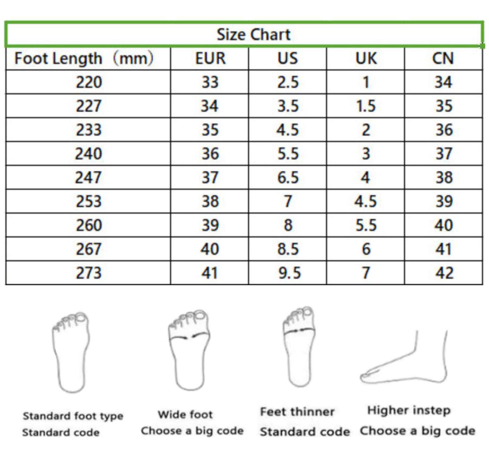 Ragazze E Ragazzi Scarpe Sportive con Rotelle per Bambini Collo Alto Retrattile Doppia Ruote Skateboard Sneakers Outdoor Multisport Running Calzature da Motion Plus Scarpe da Ginnastica,EU34