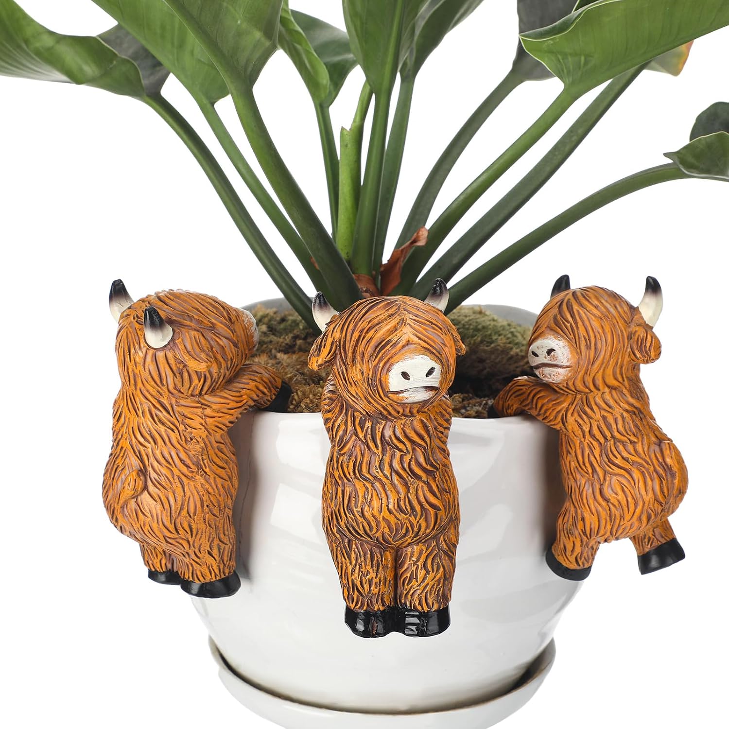 Set of 3 Flower Hugger Plant Decoration for Pot Highland Cow Resin Figurines Country Funny Animal Farmhouse Decorations for Planter Pots Hanging Farm Ornament Indoor Outdoor for Planter Lover
