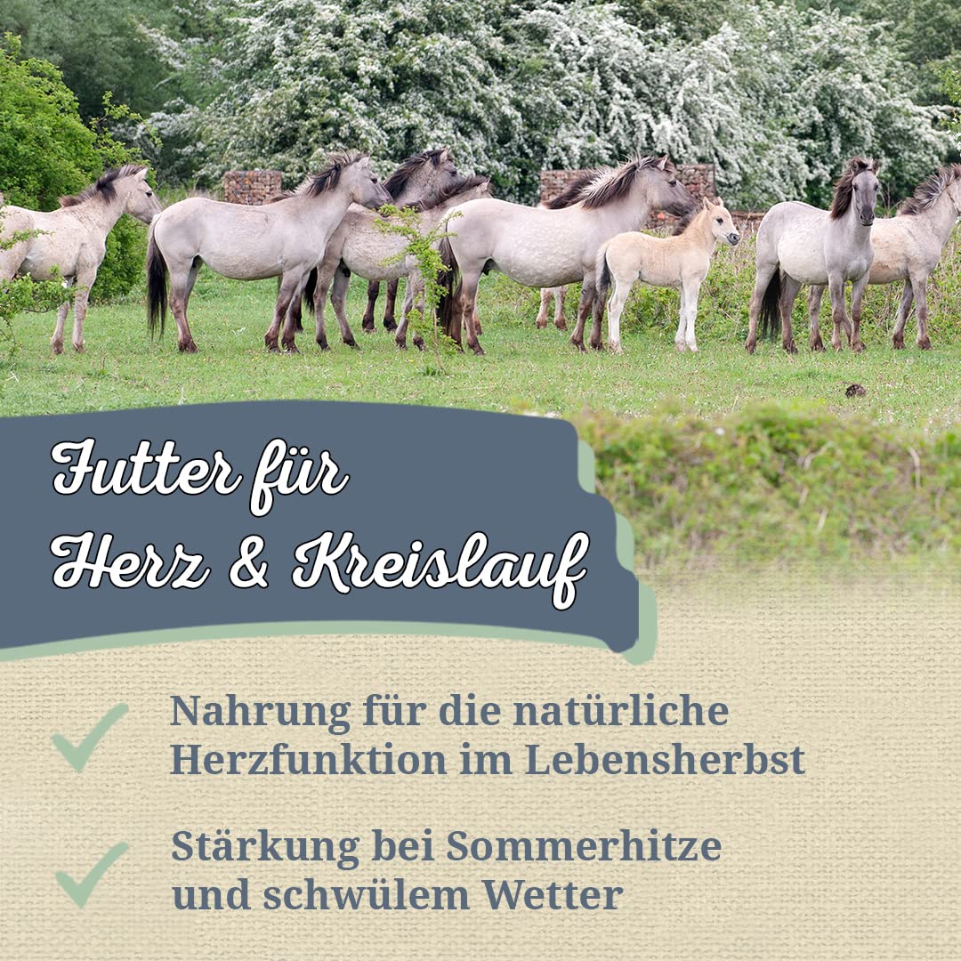 Krauterie Weißdorn für Pferde, geschnitten (2000 g) | Artgerechtes Einzelfuttermittel für Pferde in Spitzenqualität - frei von Zusatzstoffen, getreidefrei, zuckerfrei, melassefrei