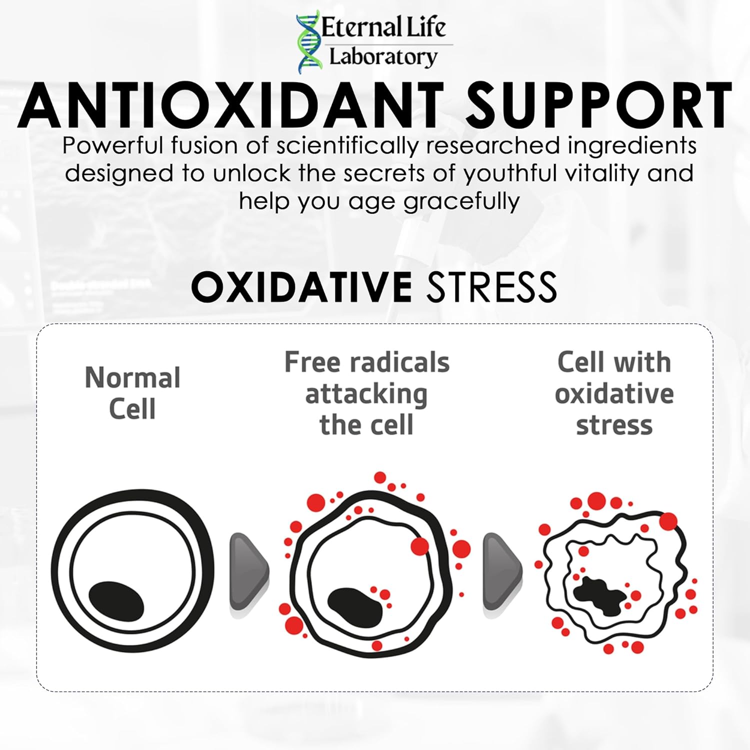 Longevity Blend #3 - Resveratrol 98% with Fisetin Pterostilbene Spermidine, Anti Aging, Oxidative Stress Reducer, Antioxidant Supplement, AMPK Activator