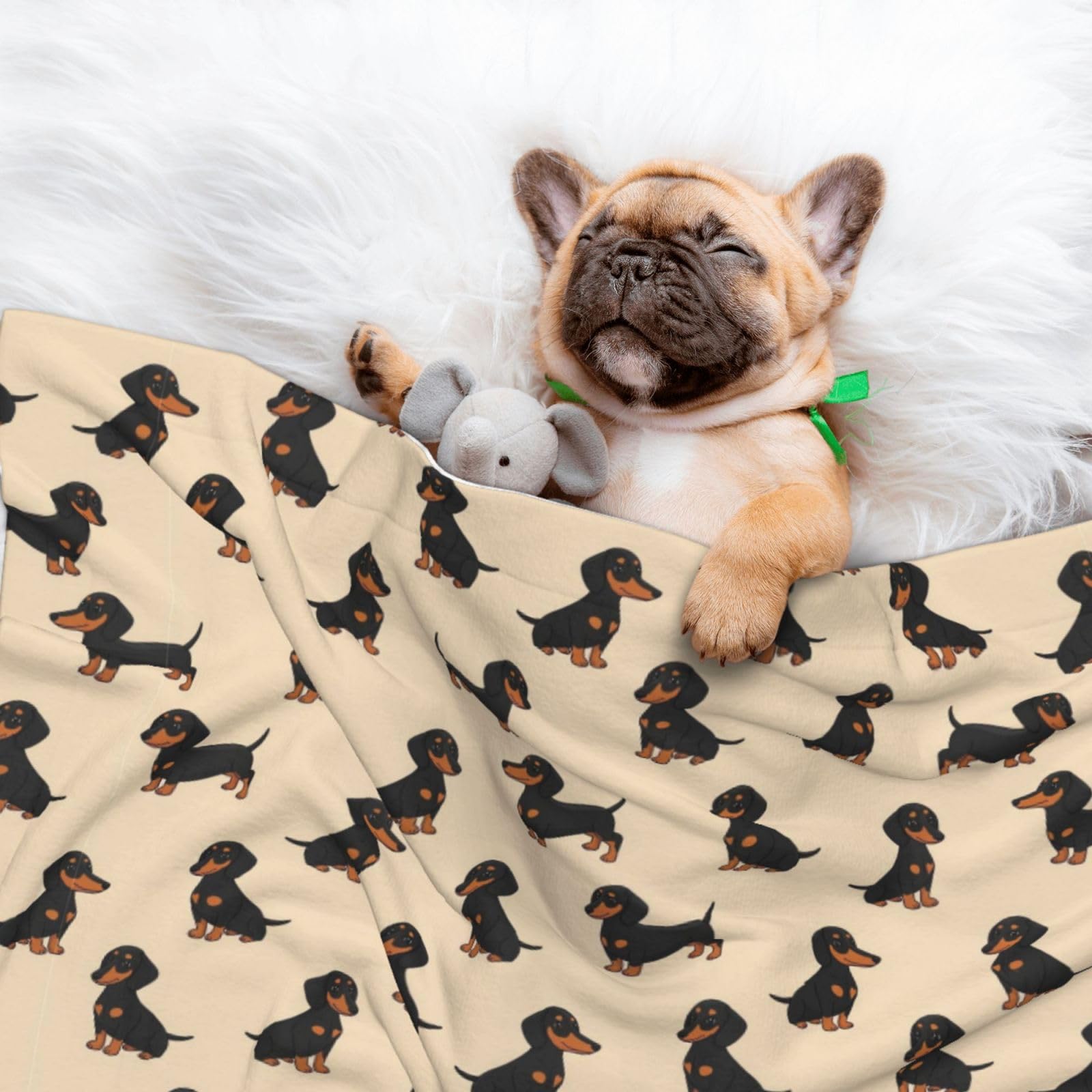 Amazon.com: JZDACH Pet Blanket for Car Rides Vet Visits, Wiener