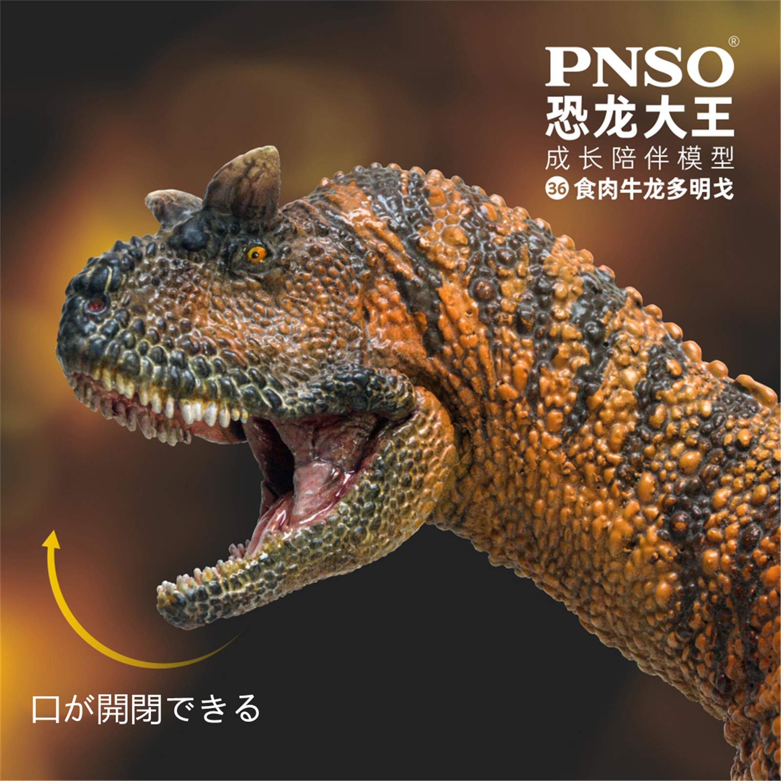 Amazon | PNSO 成長シリーズ 36 カルノタウルス 恐竜 フィギュア