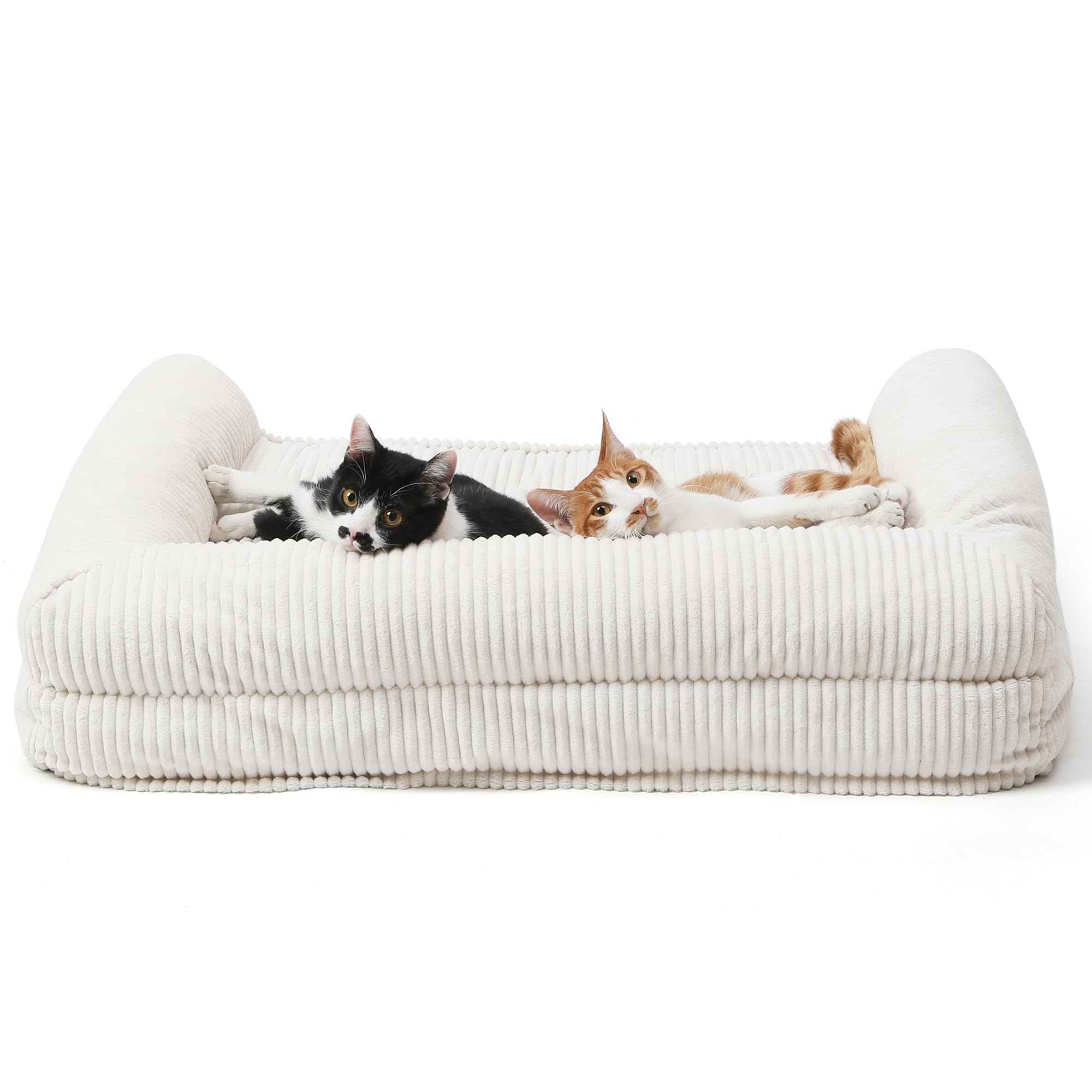 FUKUMARU Cama para Gatos, Sofá Cómodo de Terciopelo para Gatos de Interior con Funda Desmontable y Lavable, Cama para Perros Antideslizante y de Apoyo para Perros Pequeños, 72 x 52 x 22 cm, Cream