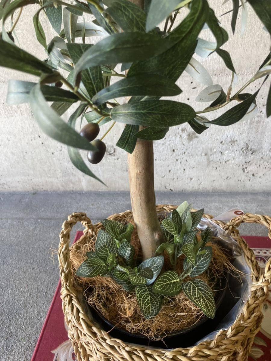 Amazon.co.jp: 光触媒 人工観葉植物 ウォールグリーン フェイク