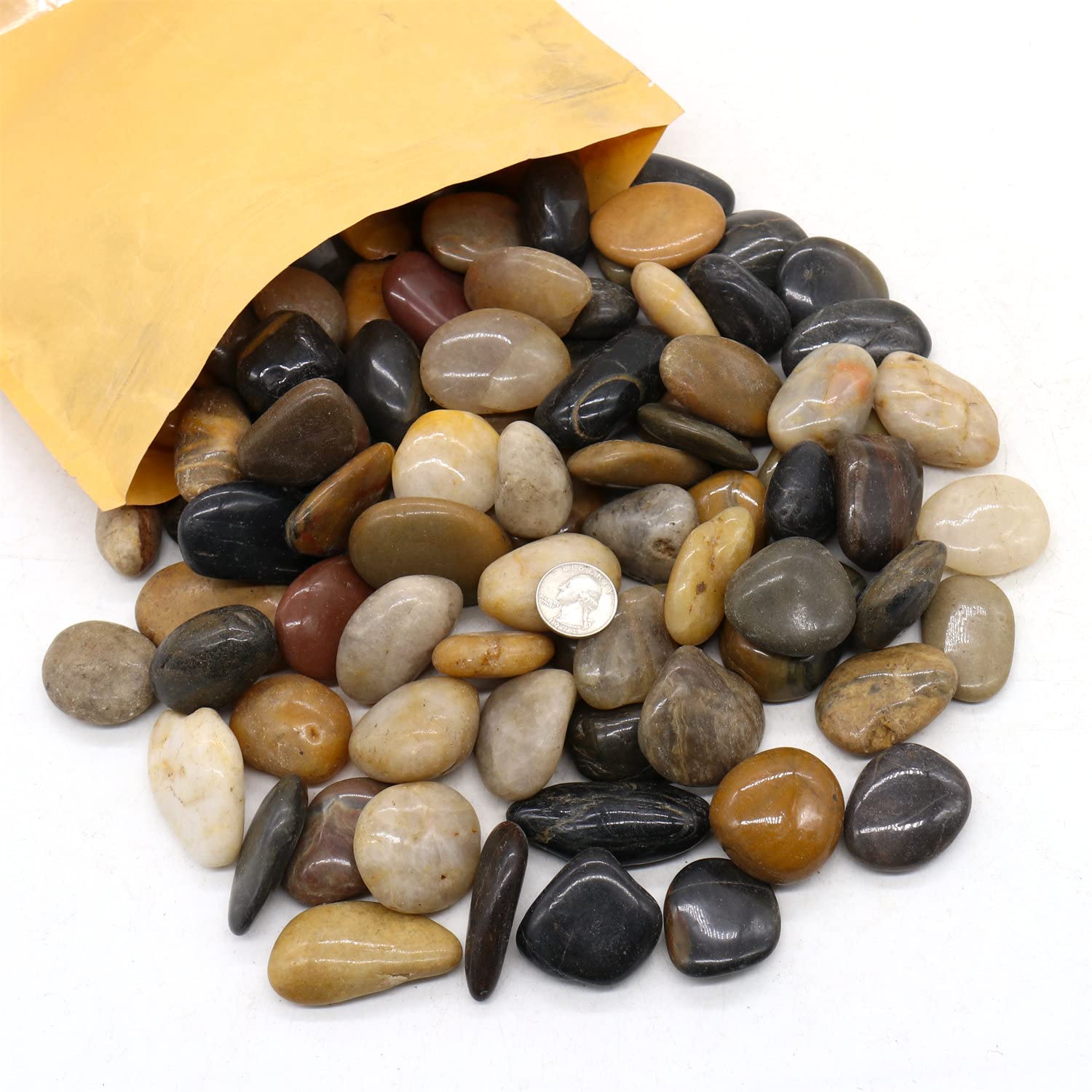 Pietre lucide per piante, ciottoli decorativi, 3,5 cm, 4,5 kg