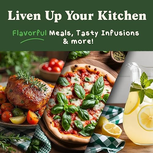 Miniatura 4 de Seedboy Paquete variado de 10 hierbas orgánicas sin OGM albahaca, cilantro, menta, orégano, perejil, tomillo, cebollino, eneldo, salvia, romero para