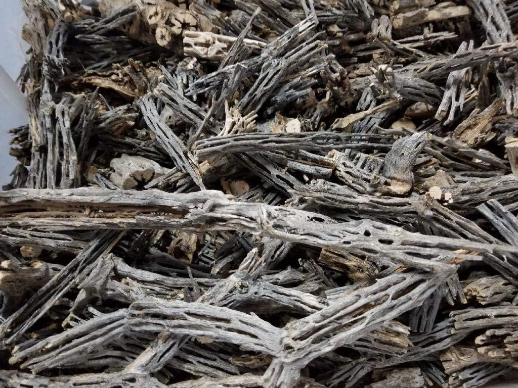 1/4, 1/2, 1, 5 or 10 Pound - Raw Natural Scrap Cholla Wood - Shrimp, Biofilm, Reptiles, Hermit Crabs, Fish, Pet Chews, Hamster, Chinchilla, Aquarium, Driftwood, Crafts, Bulk (1/4 Pound)
