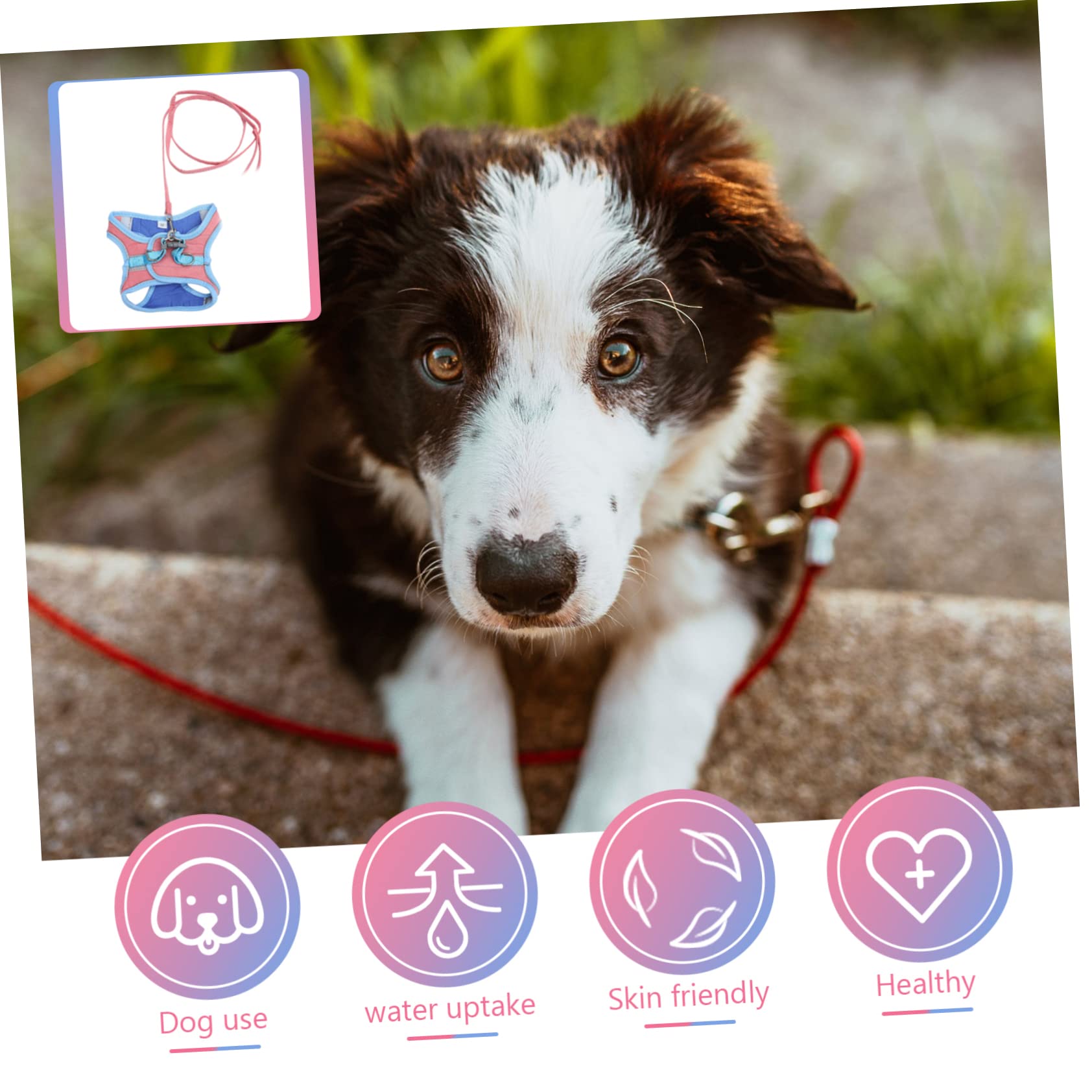 Didiseaon Chaleco Reflectante de 3 Piezas para Perros Y Gatos Moderno Y Elegante para Pasear al Aire con Correa.
