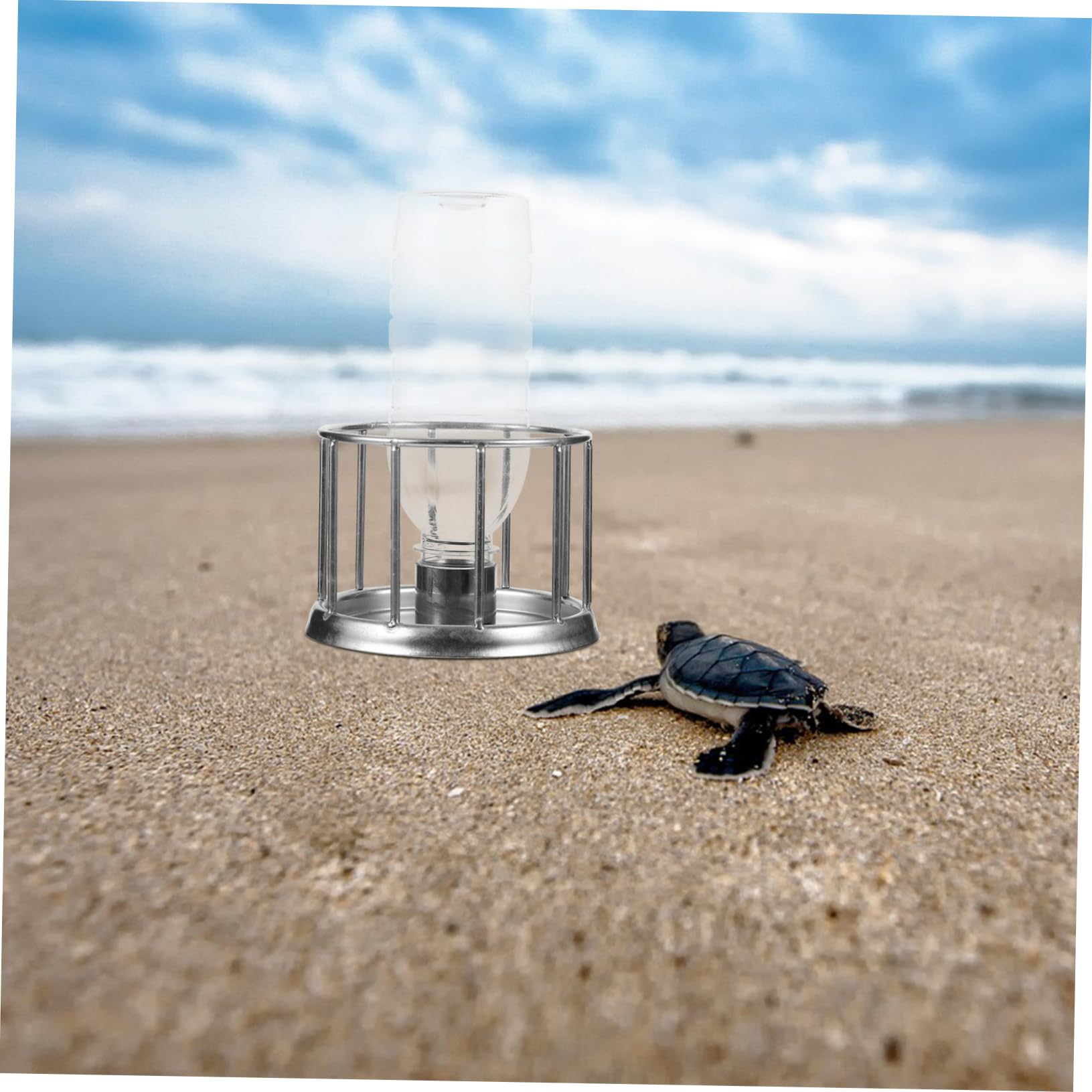 BESPORTBLE 4piezas Mini Comedero De Agua para y Reptiles Cuenco De Acero Inoxidable para Terrario Alimentador Multifuncional para Mascotas Pequeñas para y Lagartos