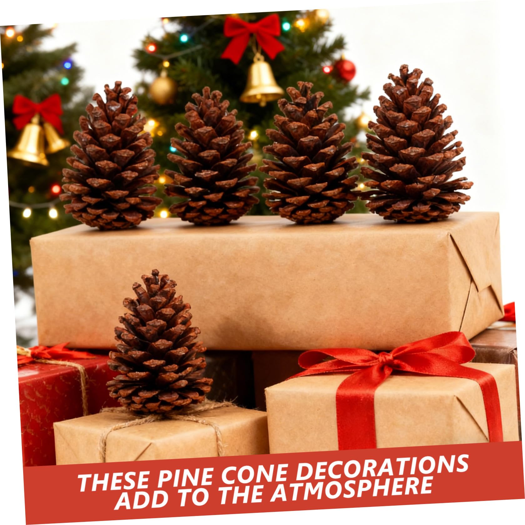 Kiefernzapfen Tannenzapfen 6 Stück Getrocknete Naturzapfen als Fotorequisite und Weihnachtsbaumschmuck für Handwerk und Deko