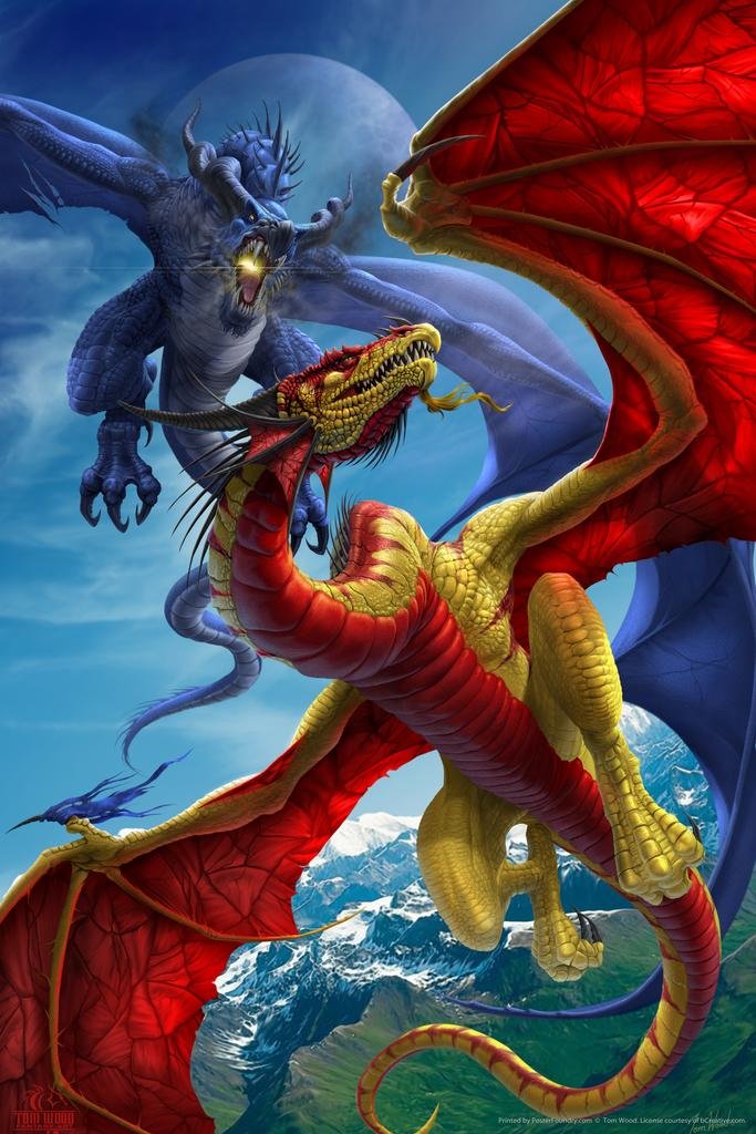 Amazon.com: Slash and Burn Dragon Battle Tom Wood Fantasy Art Cool