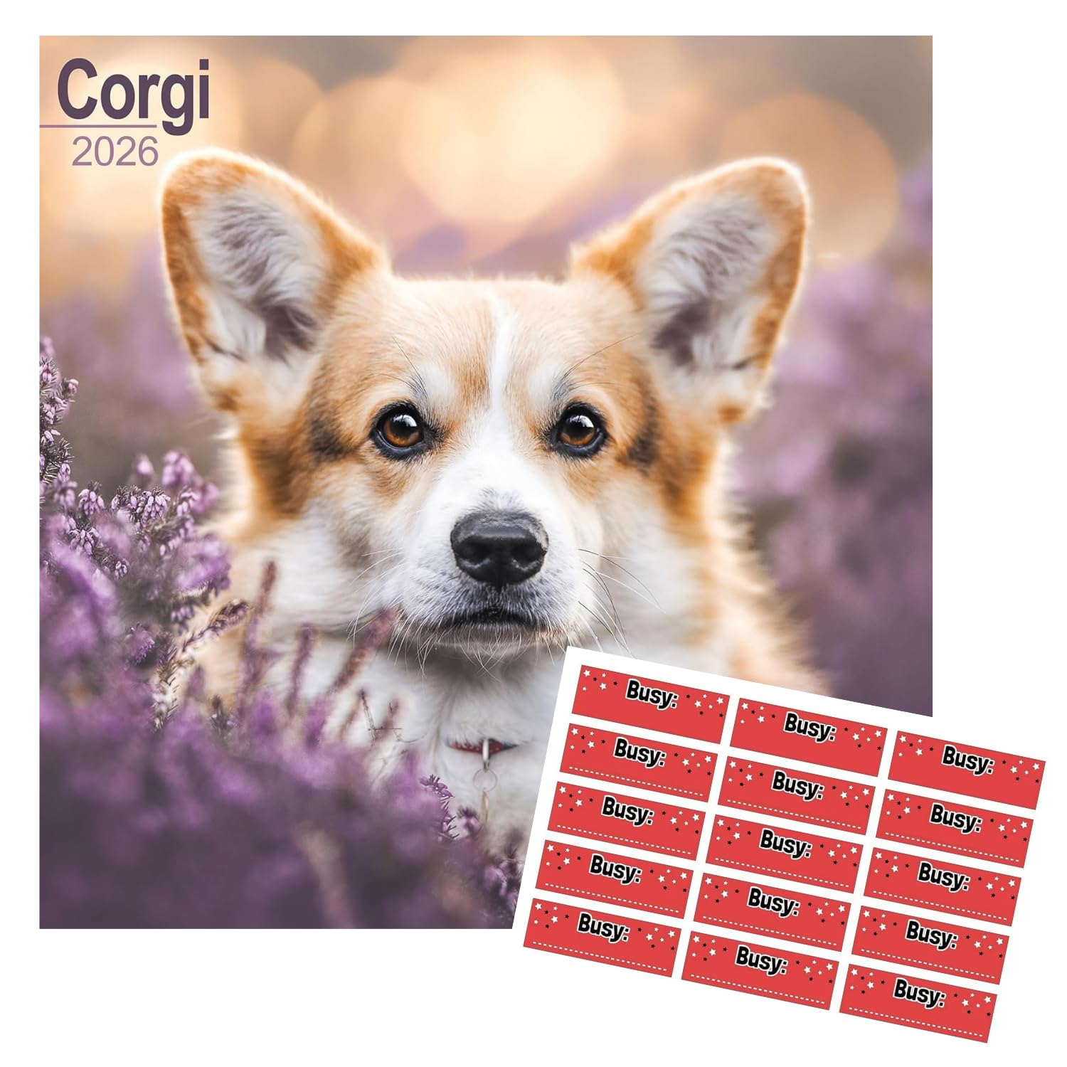 Avonside Corgi 2027 Square Calendar with Organisational Stickers