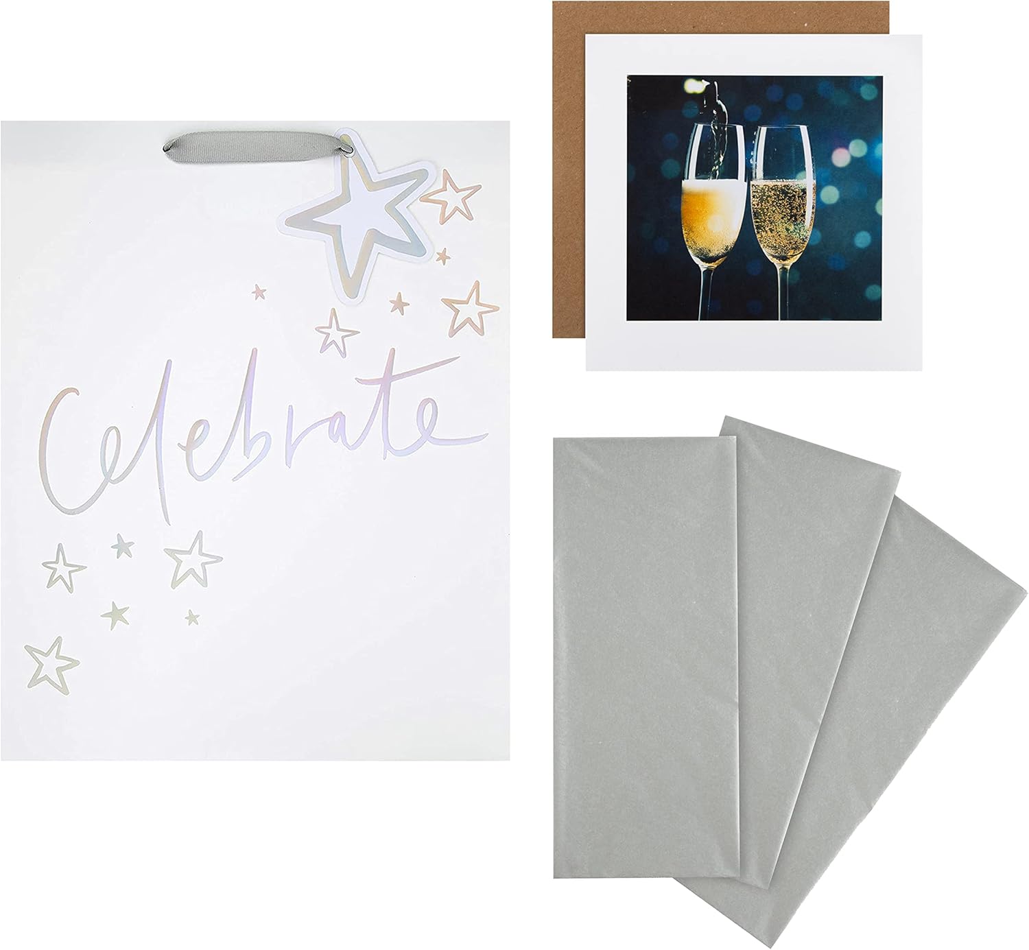 Hallmark Celebration Gift Bag, Gift Wrap and Card Bundle - 1 Large Gift Bag, 3 Tissue Paper Sheets and 1 'Gallery' Card in 3 Contemporary Designs